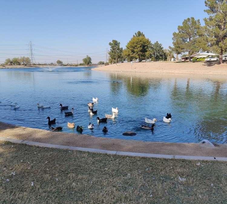 youngtown-maricopa-lake-park-photo